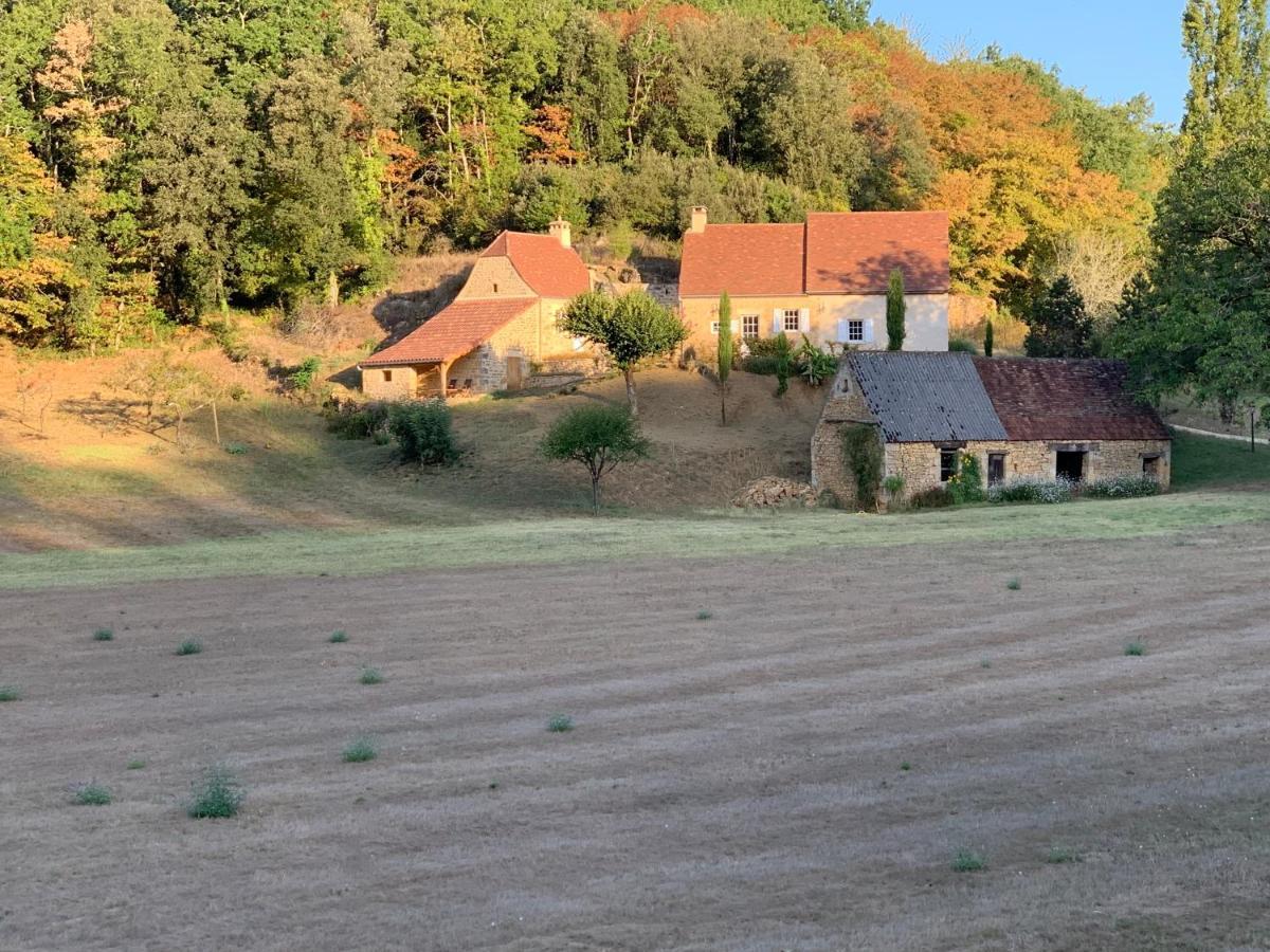 Gite Chez Le Gaulois Carsac-Aillac Екстериор снимка