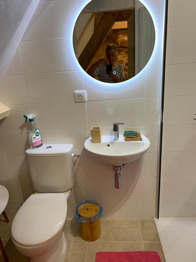 Gite Chez Le Gaulois Carsac-Aillac Екстериор снимка