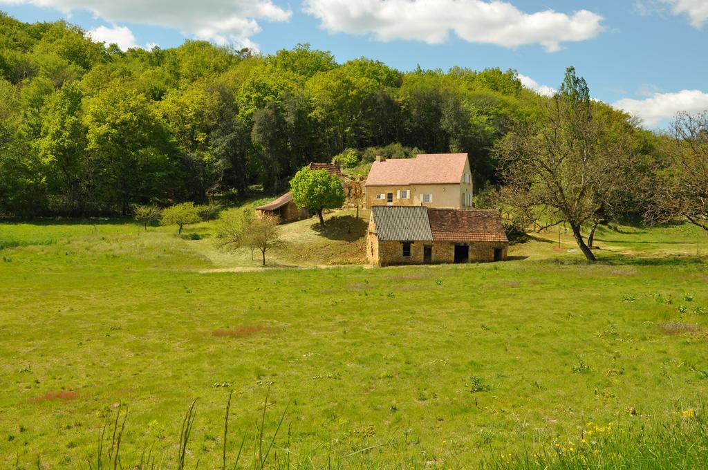 Gite Chez Le Gaulois Carsac-Aillac Екстериор снимка